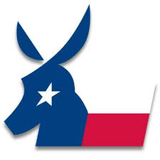 Dallas Democrats Audit