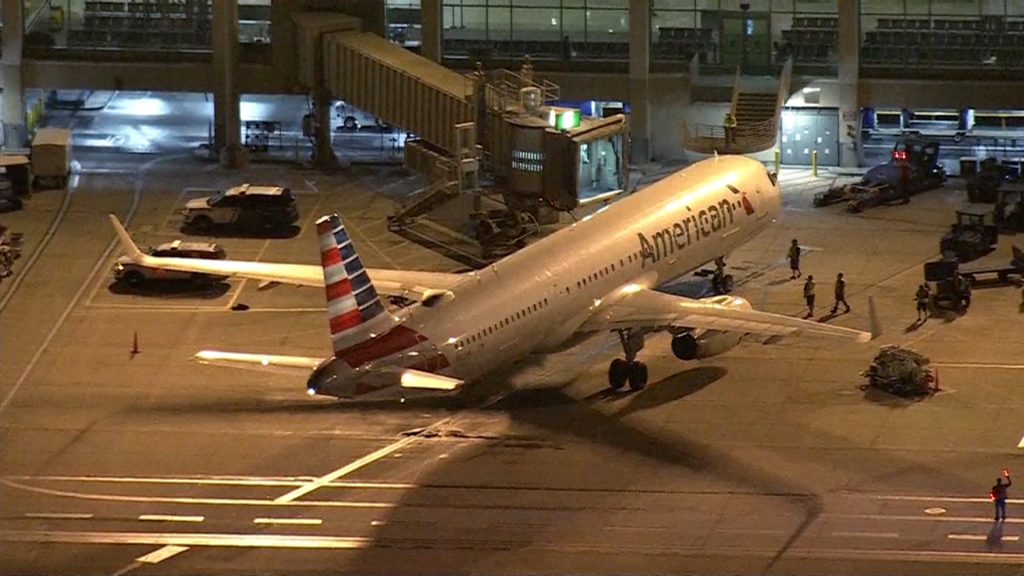 American Airlines Flight Attendant Assaulted