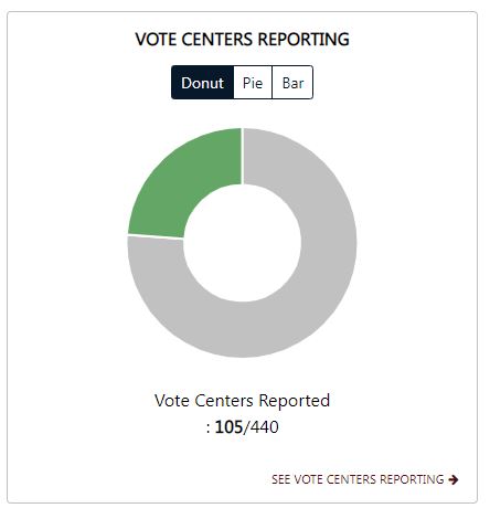 Primary Election Results 2022