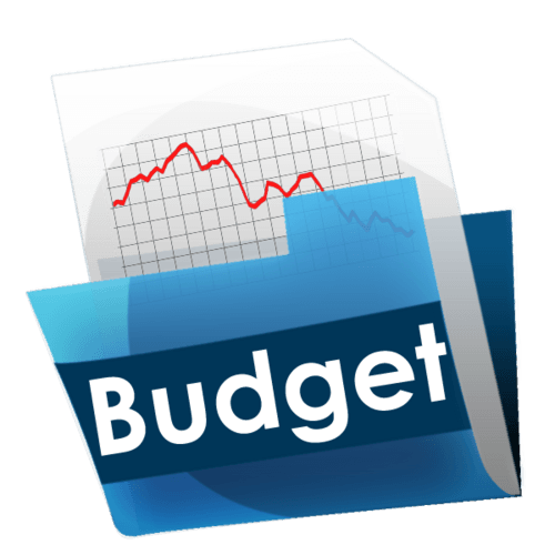 City Budget Input 2022